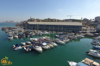 منظمة الصيادين تلتمس للعليا ضد حظر الصيد رغم جائحة الكورونا